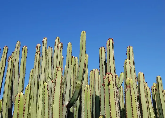 Eagle 8 By Villagrancanaria *