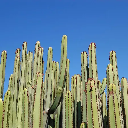 Eagle 8 By Villagrancanaria *